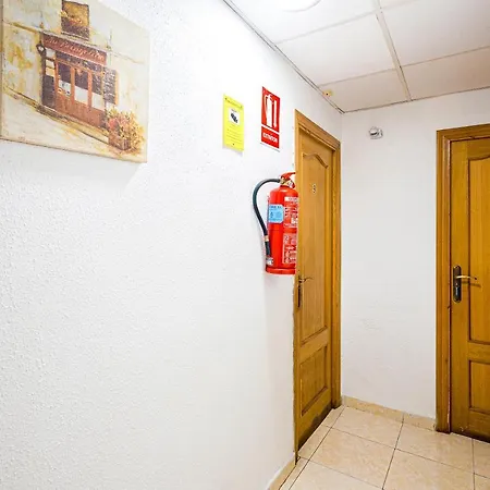 Ayuntamiento Albergue Alicante