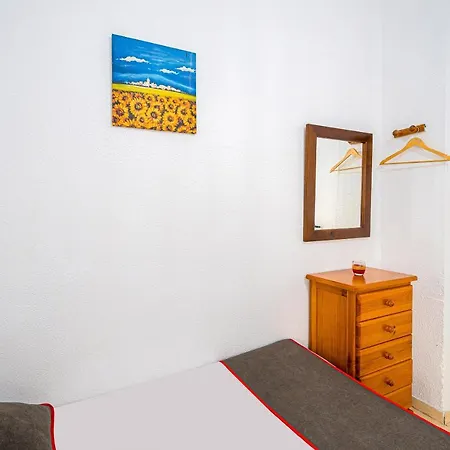 Albergue Ayuntamiento Alicante